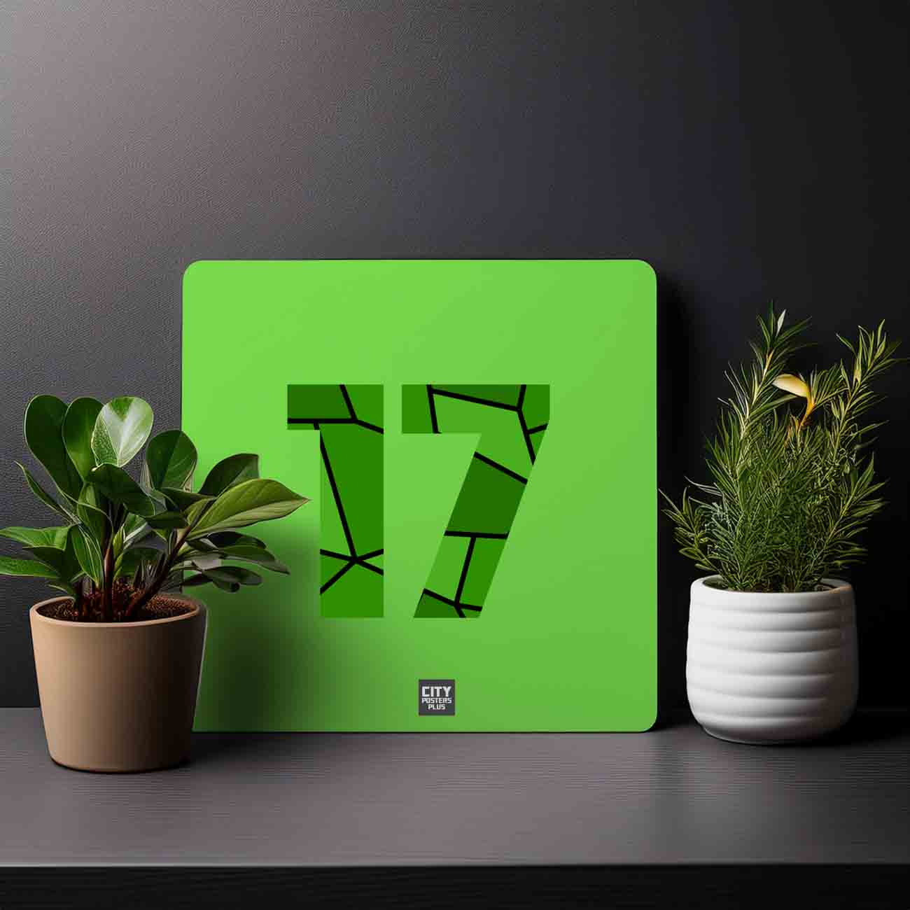 17 Number Mousepad (Liril Green)