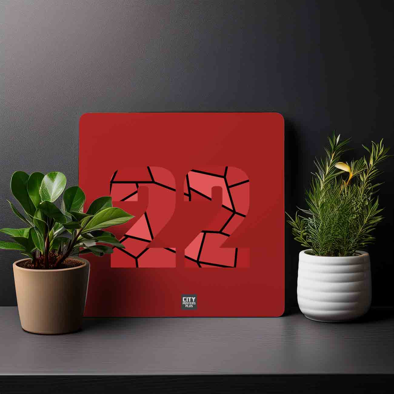 22 Number Mousepad (Red)