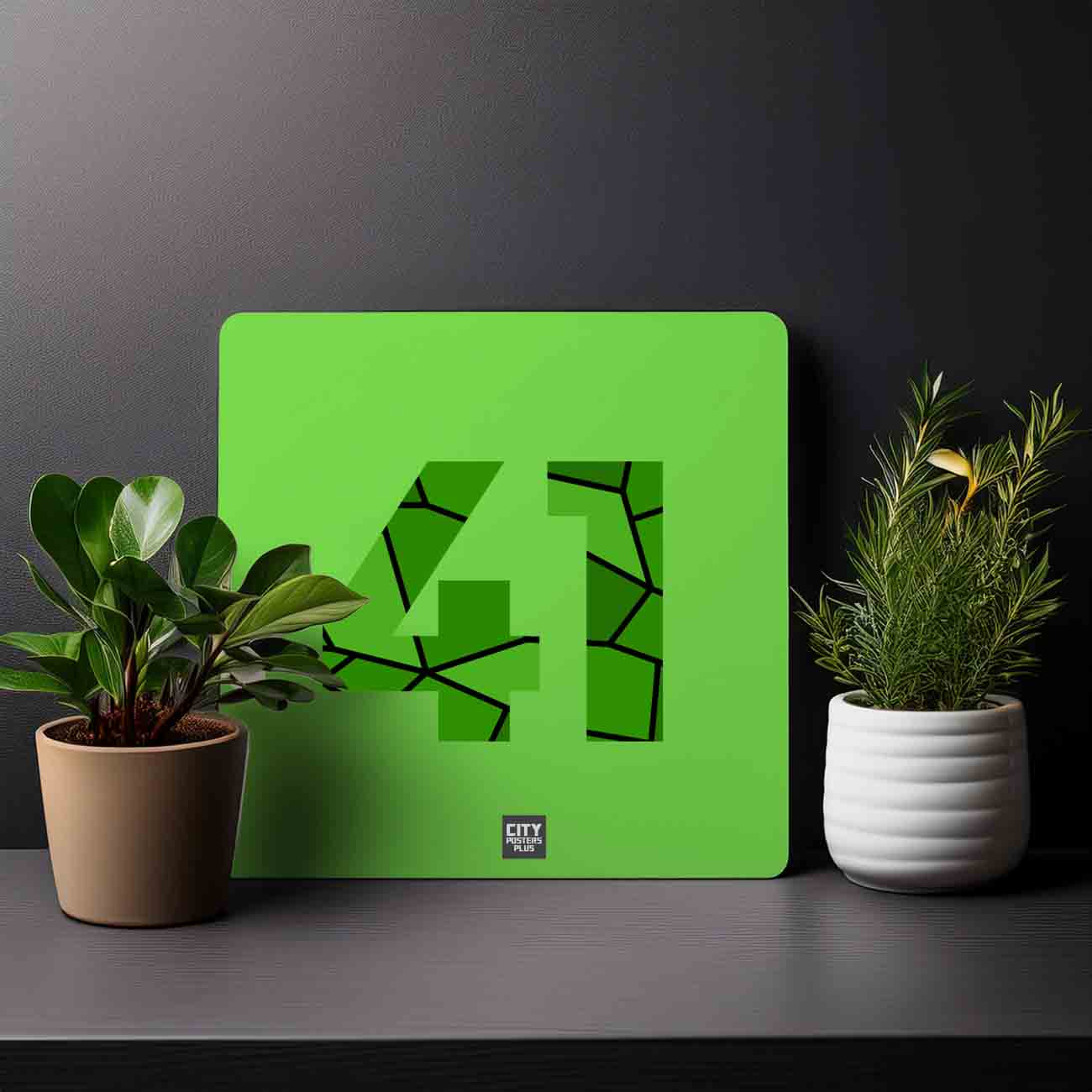 41 Number Mousepad (Liril Green)