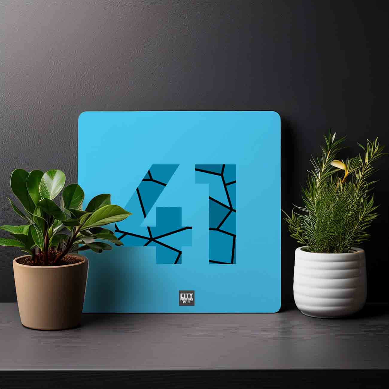 41 Number Mousepad (Sky Blue)